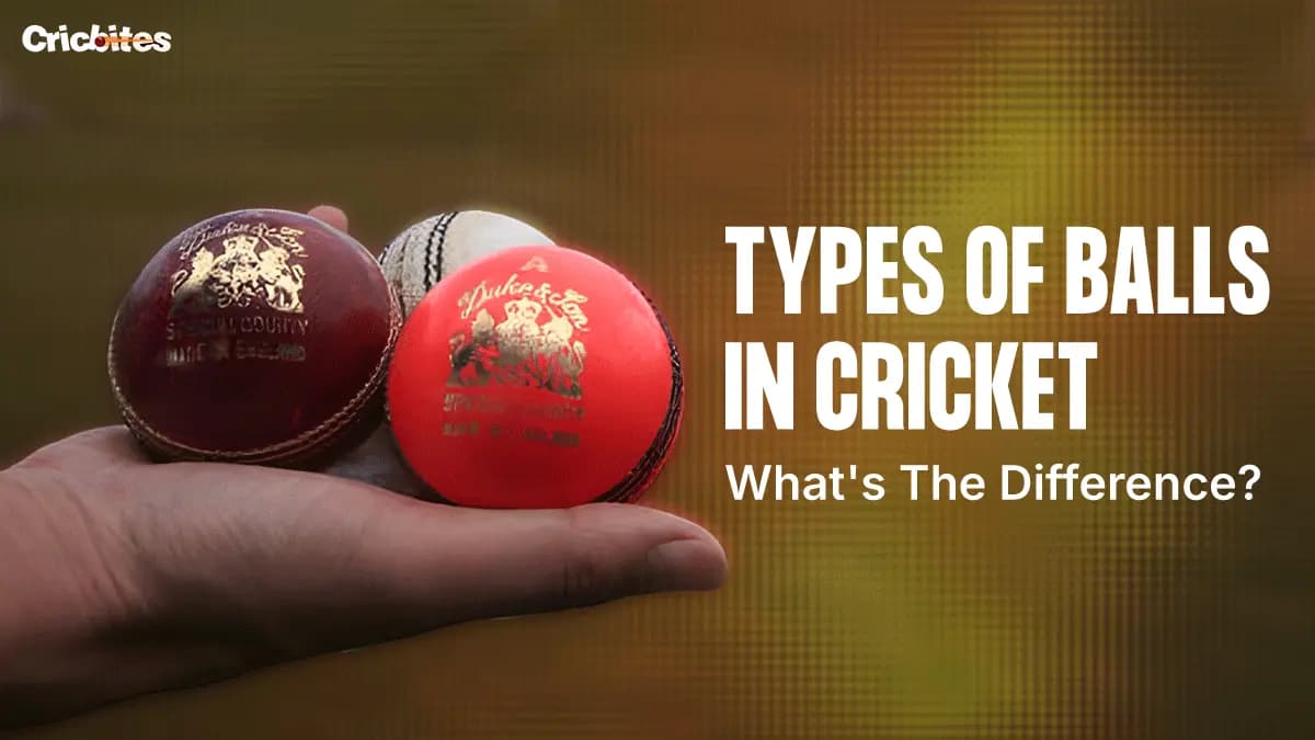 Types of Balls in Cricket: What’s The Difference? (2025)