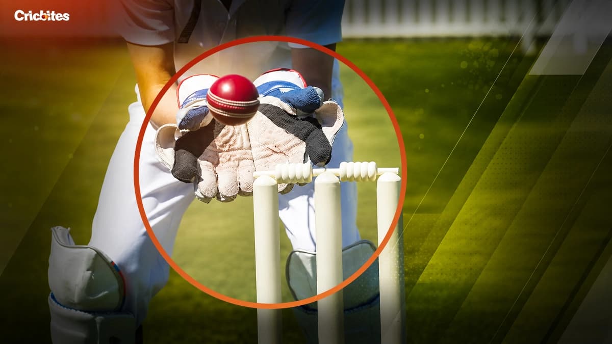 Top 7 Wicketkeepers With the Most Dismissals in ODI History